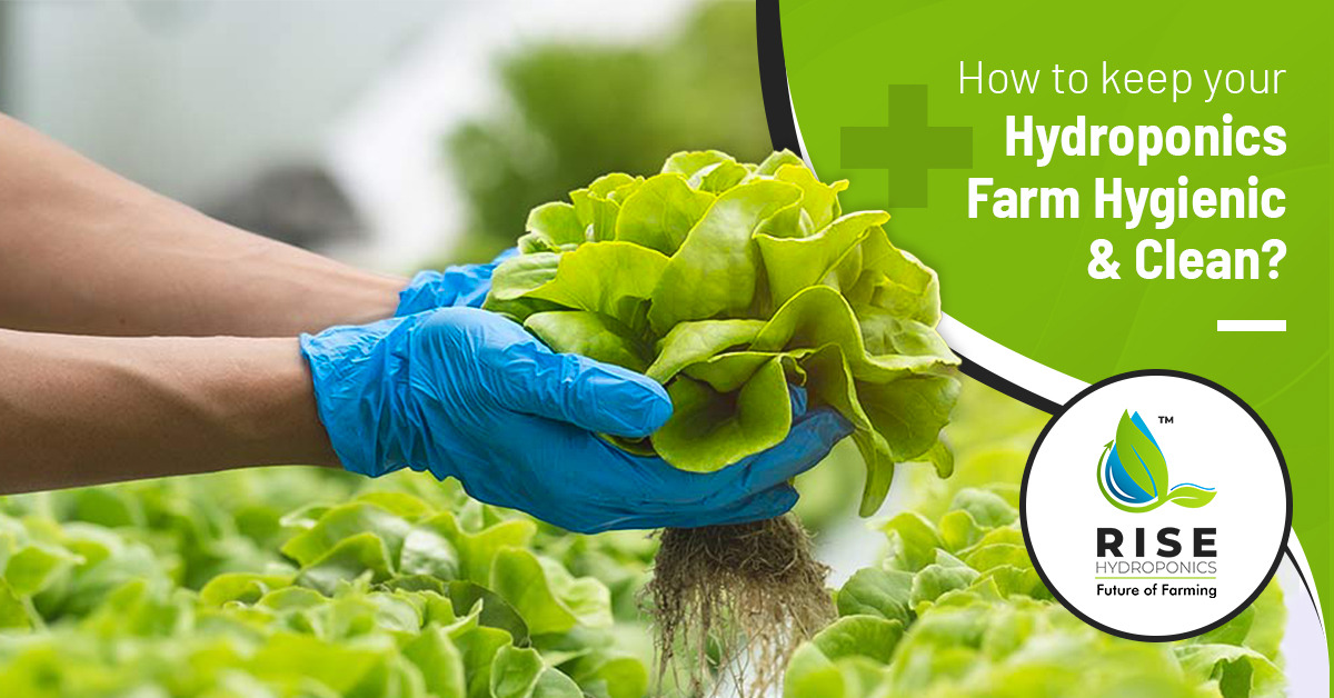 How To Keep Your Farm Hygienic and Clean?