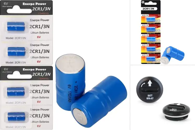 Detailed view of Best 6V Batteries For Dog Collars: Top 10 Long-Lasting Picks