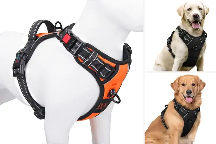 Detailed view of Best Adjustable Dog Harnesses