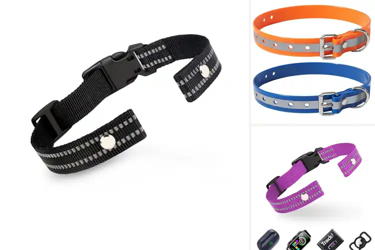 Detailed view of Best Anti Bark Collar Replacements