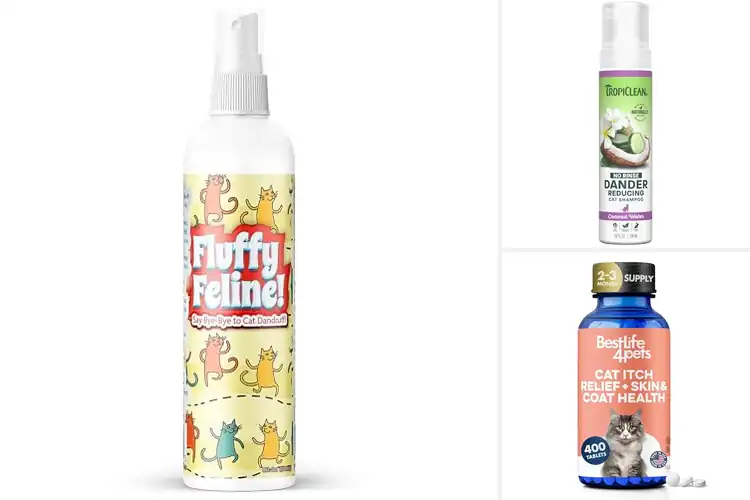 Detailed view of Best Anti Dandruff Treatments for Cats