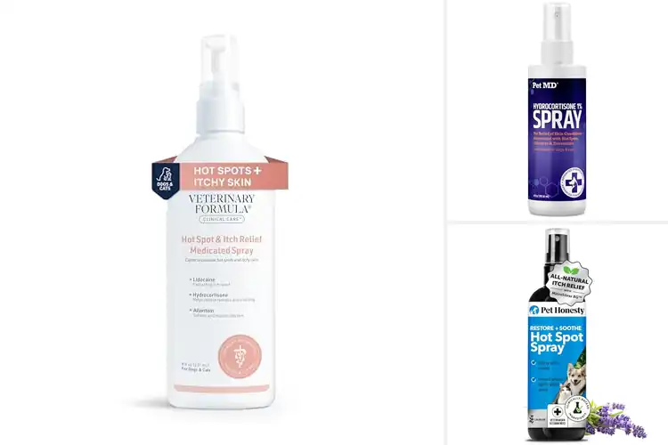 Detailed view of Best Anti-Itch Sprays For Cats