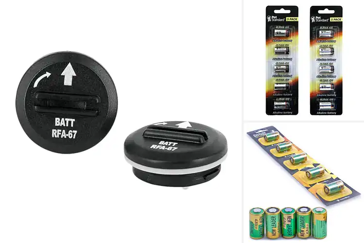 Detailed view of Best Bark Collar Batteries