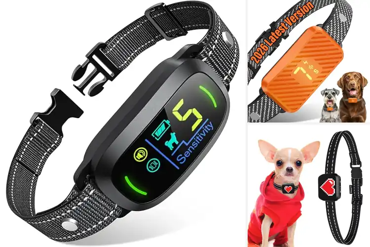 Detailed view of Best Bark Collars Top