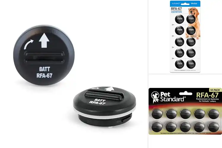 Detailed view of Best Batteries For Anti-Bark Collars
