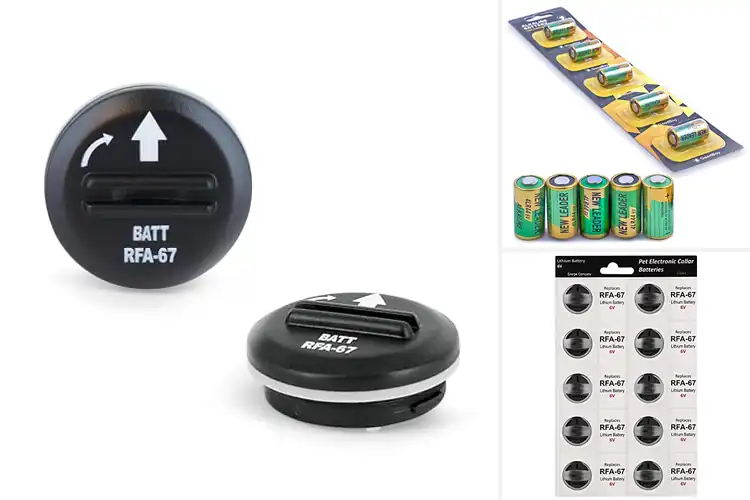 Detailed view of Best Batteries For Bark Collars: Top 10 Long-Lasting Picks