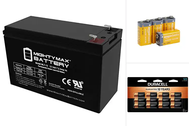 Detailed view of Best Batteries for Security Alarms