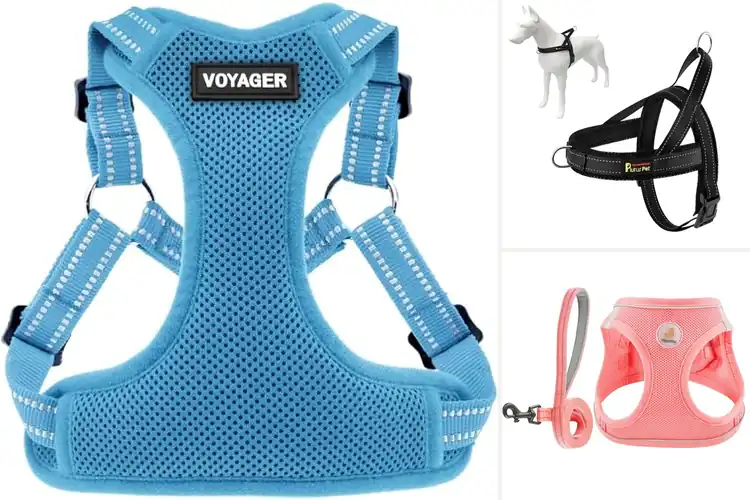 Detailed view of Best Breathable Pet Harnesses for Cool, Comfy Walks