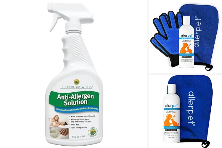 Detailed view of Best Cat Dander Removal Solutions: Pet-Safe & Easy Fixes