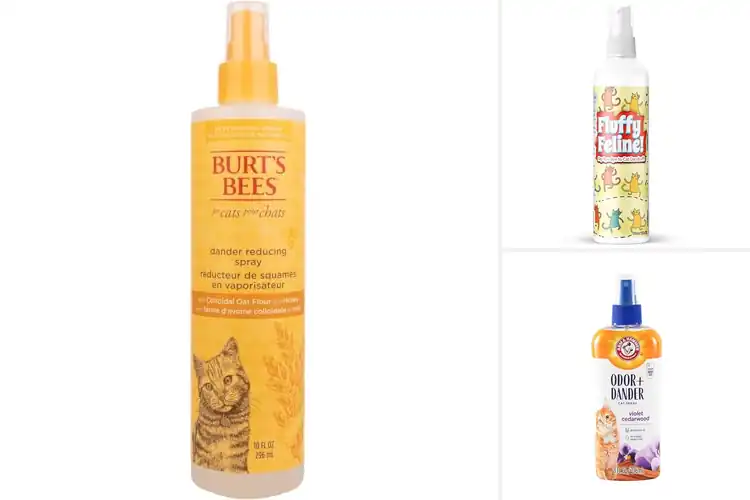 Detailed view of Best Cat Dandruff Sprays For Cats: Healthy Coat, Happy Cat