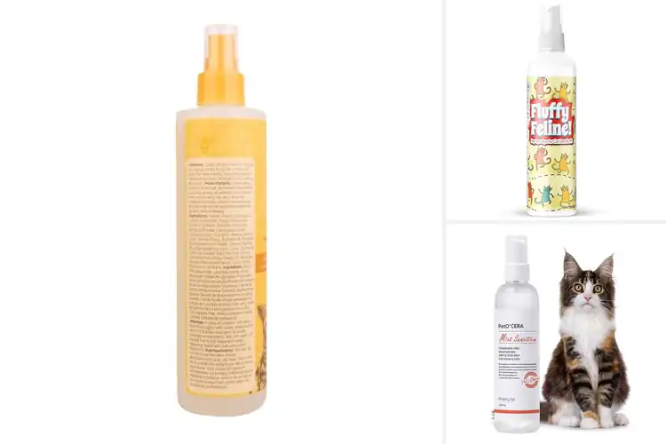 Detailed view of Best Cat Dandruff Sprays for a Soft, Flake-Free Coat