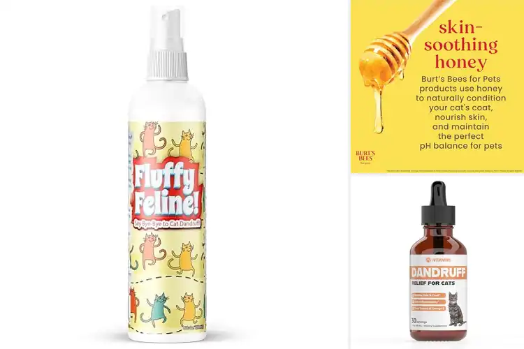 Detailed view of Best Cat Dandruff Treatment Solutions