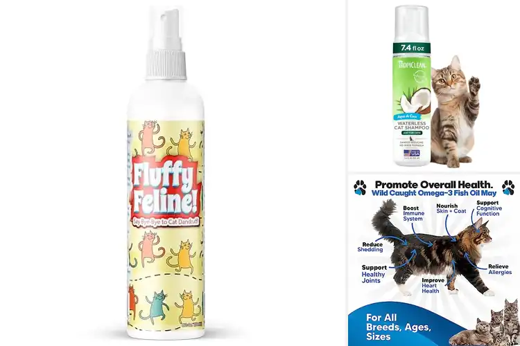 Detailed view of Best Cat Dandruff Treatments