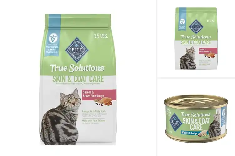 Detailed view of Best Cat Dry Skin Solutions