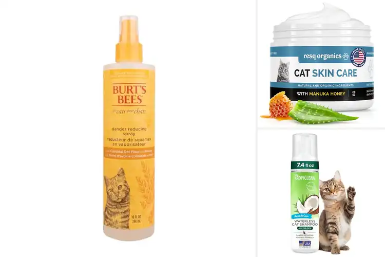 Detailed view of Best Cat Dry Skin Treatments