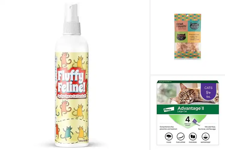 Detailed view of Best Cat Flakes Treatments for Smooth, Flake‑Free Fur
