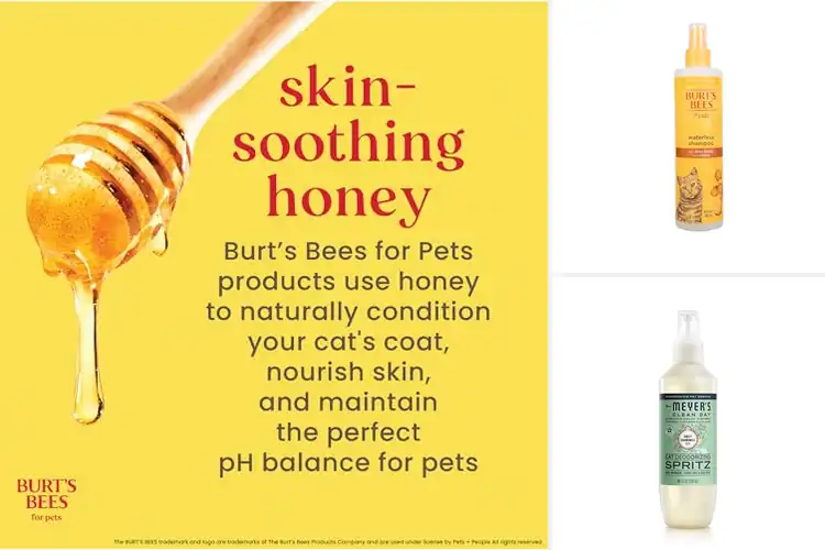 Detailed view of Best Cat Grooming Sprays