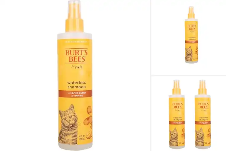 Detailed view of Best Cat No Rinse Sprays