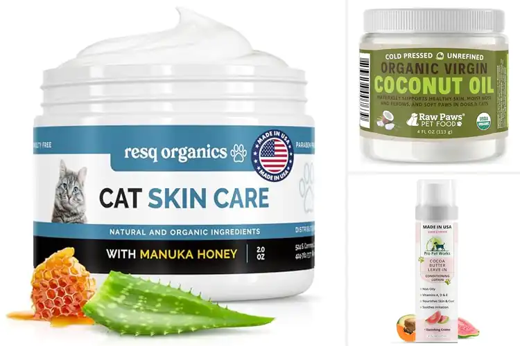 Detailed view of Best Cat Skin Moisturizers