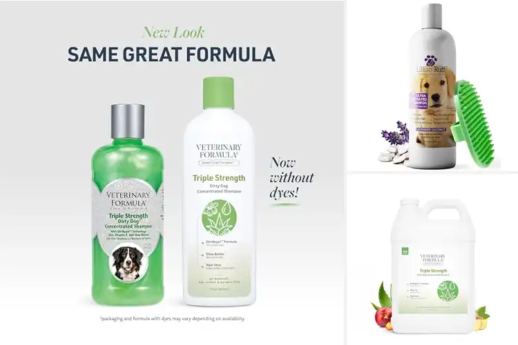 Detailed view of Best Concentrated Formula Shampoo For Easy Bath