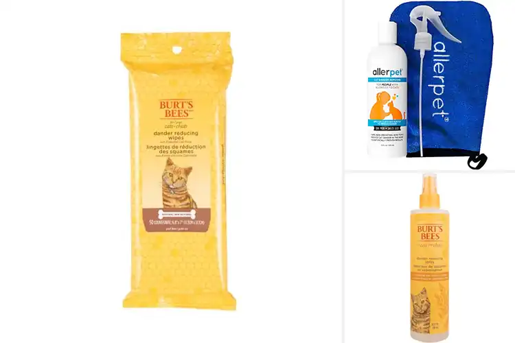 Detailed view of Best Dander Remover For Cats