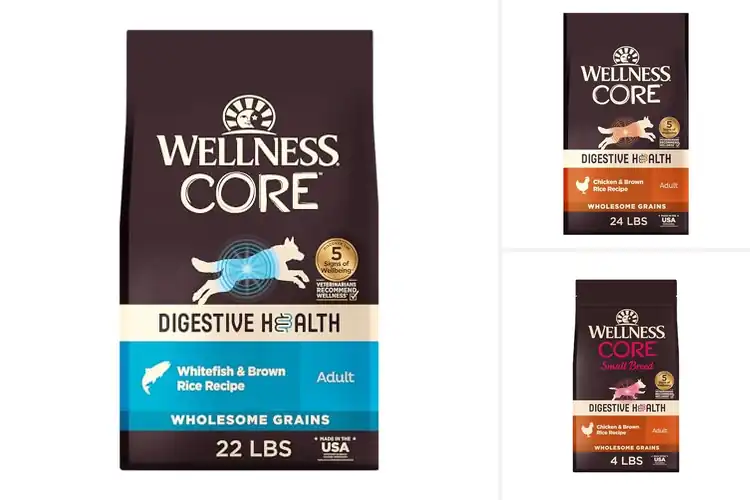 Detailed view of Best Digestive Wellness Foods