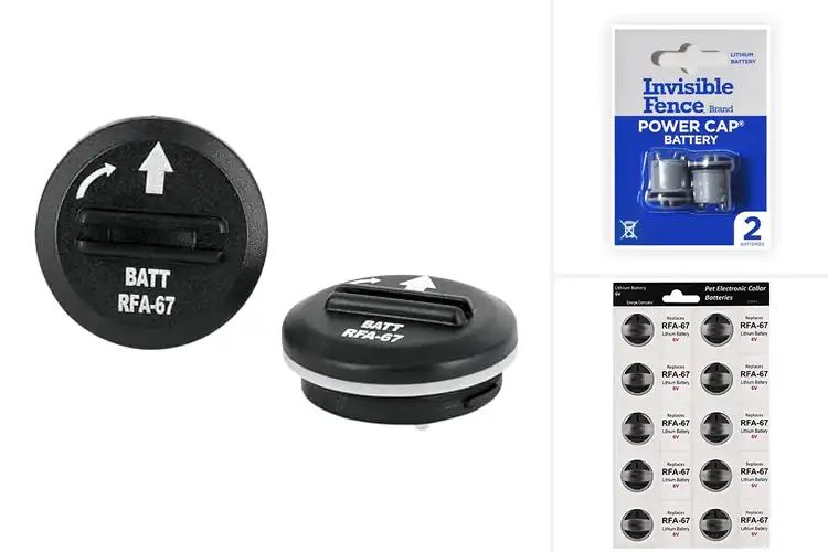 Detailed view of Best Dog Batteries