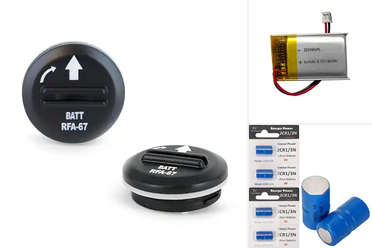 Detailed view of Best Dog Training Supply Batteries