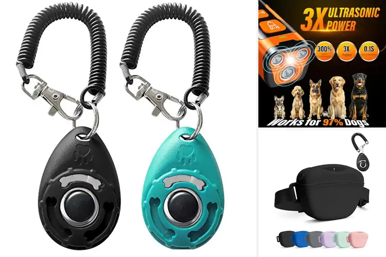 Detailed view of Best Dog Training Tools: 10 Must-Haves for Pro Results