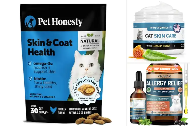 Detailed view of Best Dry Skin Relief For Cats: Top 10 Soothing Solutions