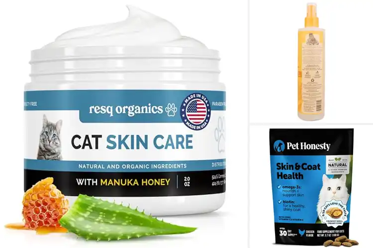 Detailed view of Best Dry Skin Relief Products For Cats