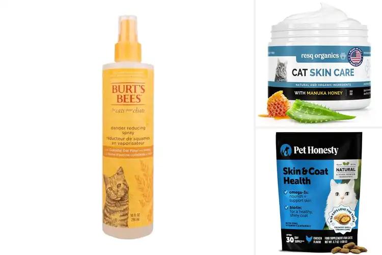 Detailed view of Best Dry Skin Treatments For Cats