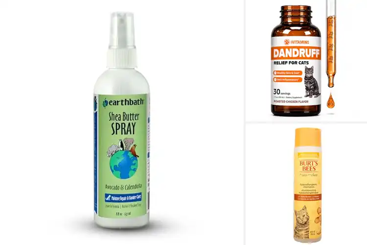 Detailed view of Best Hypoallergenic Cat Dandruff Treatments