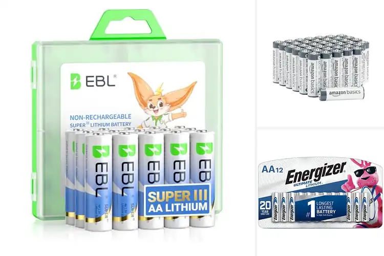 Detailed view of Best Long-Lasting Batteries