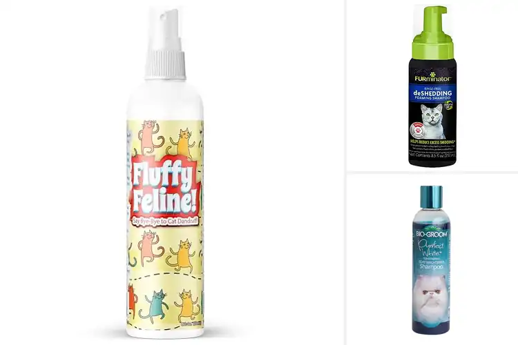 Detailed view of Best Luxury Cat Grooming Treatments