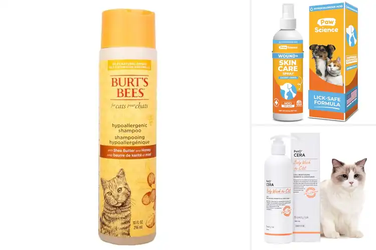 Detailed view of Best Natural Cat Skin Care Products