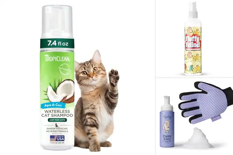 Detailed view of Best No Rinse Cat Dandruff Sprays For Cats