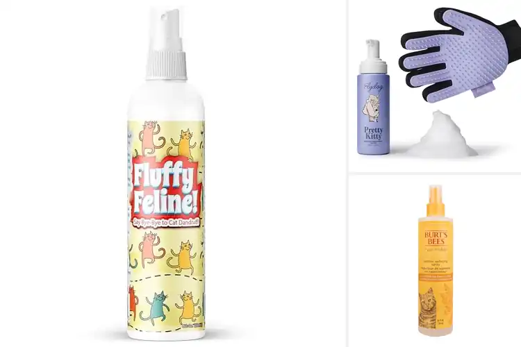 Detailed view of Best No Rinse Cat Dandruff Sprays