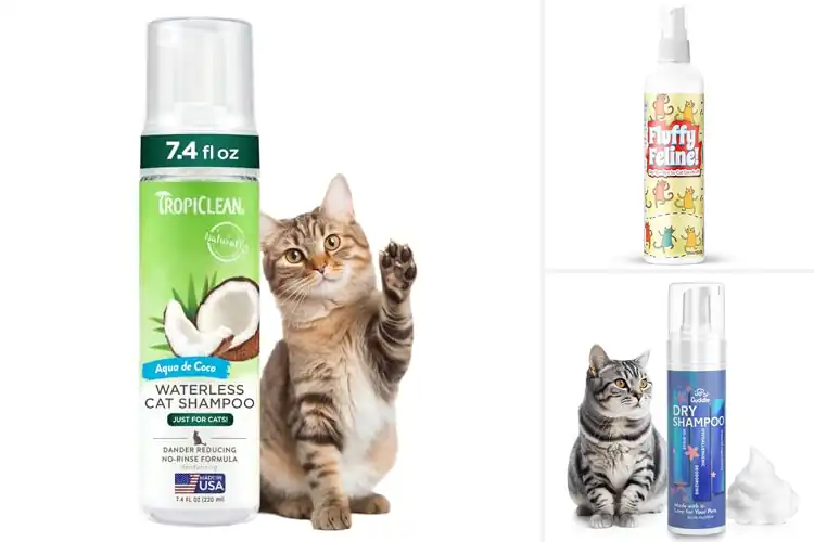 Detailed view of Best No Rinse Cat Dandruff Treatment