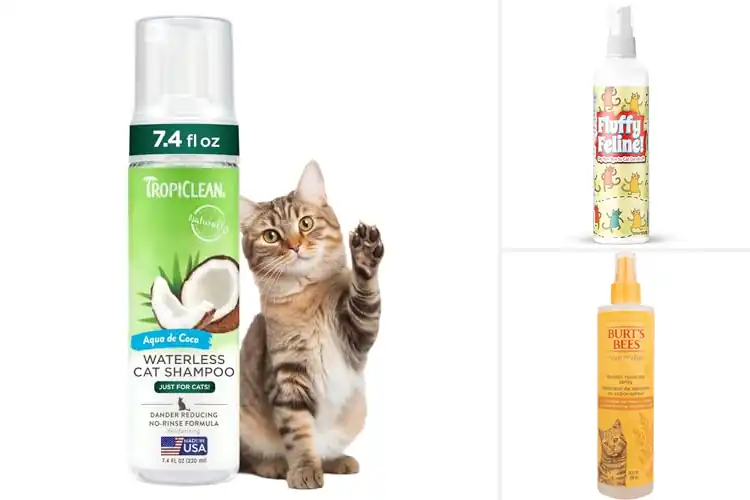 Detailed view of Best No Rinse Cat Dandruff Treatment Spray