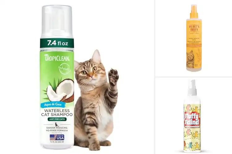 Detailed view of Best No Rinse Cat Dandruff Treatments