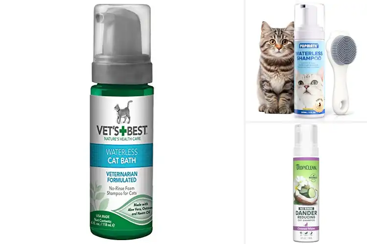 Detailed view of Best No Rinse Cat Shampoos for Quick Fresh Grooming