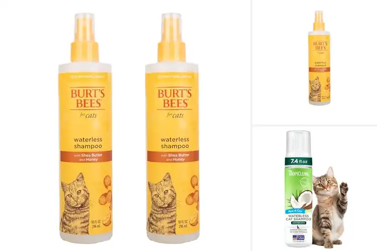 Detailed view of Best No Rinse Cat Sprays for Easy, Stress-Free Grooming