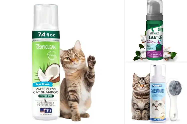 Detailed view of Best No-Rinse Cat Treatments: Stress-Free Cleaning Solutions
