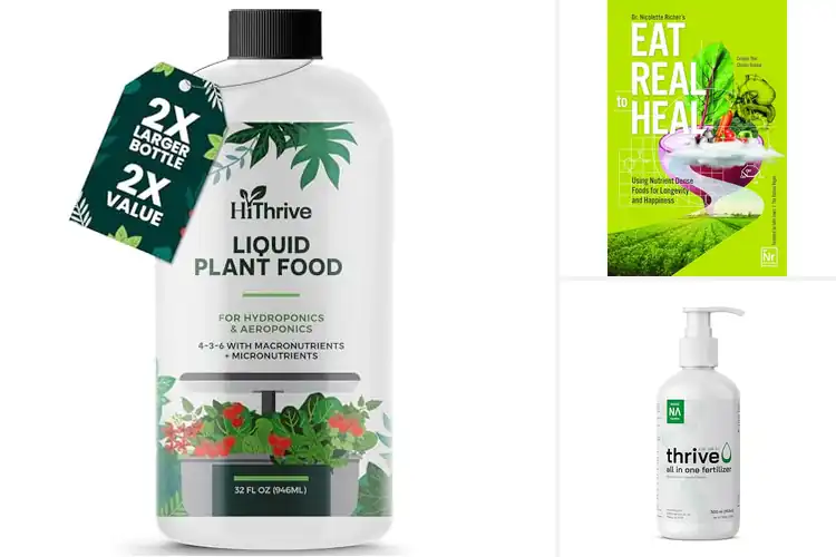 Detailed view of Best Nutrient-Rich Foods: Energize Your Day with Vitality