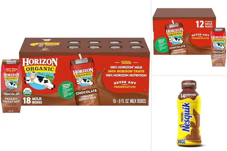 Detailed view of Best Packaged Chocolate Milk: Top Picks for Every Need