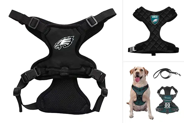 Detailed view of Best Philadelphia Eagles Pet Harnesses
