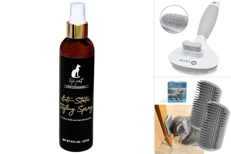 Detailed view of Best Professional Cat Grooming Products