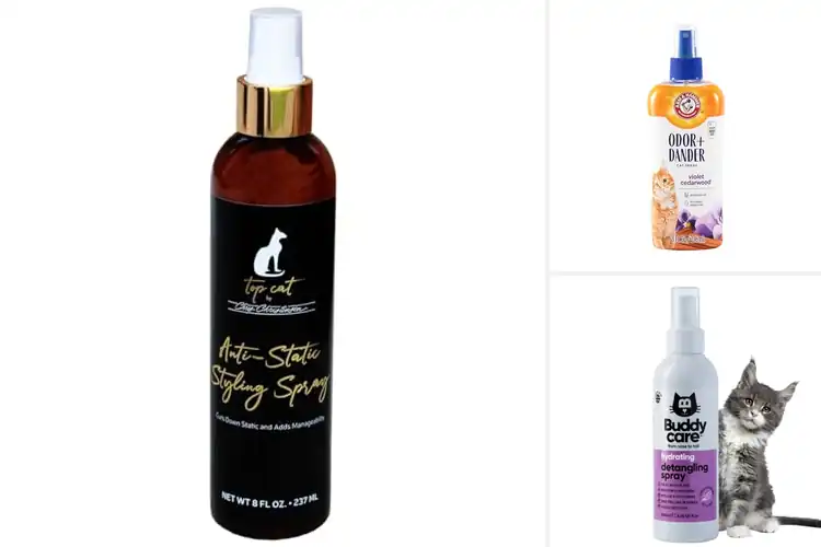 Detailed view of Best Professional Cat Grooming Sprays