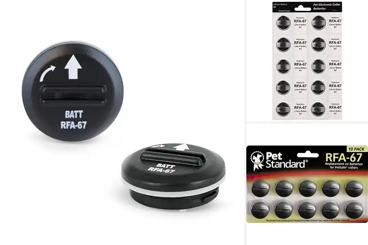 Detailed view of Best Replacement Batteries For Dog Collars